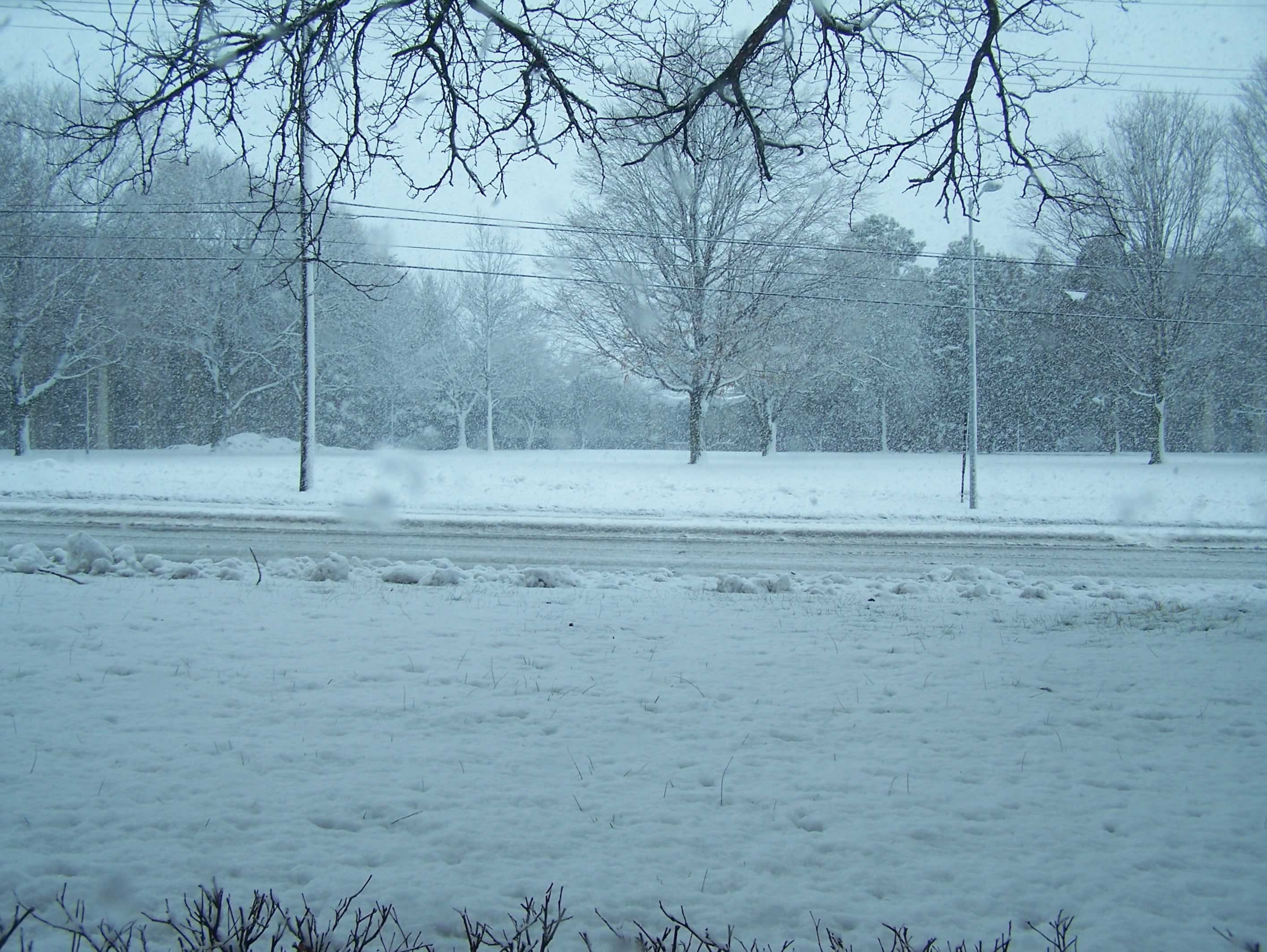 A snowy scene with a blue-grey overcast sky.  Twigs are barely visible poking through the snow, and the right sides of tree trunks are coated in snow.  Smudges of water obscure small parts of the frame, as snow hits the camera.  A road with powerlines next to it runs from left to right, lightly plowed.